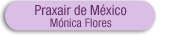 Mónica Flores, Praxair de México